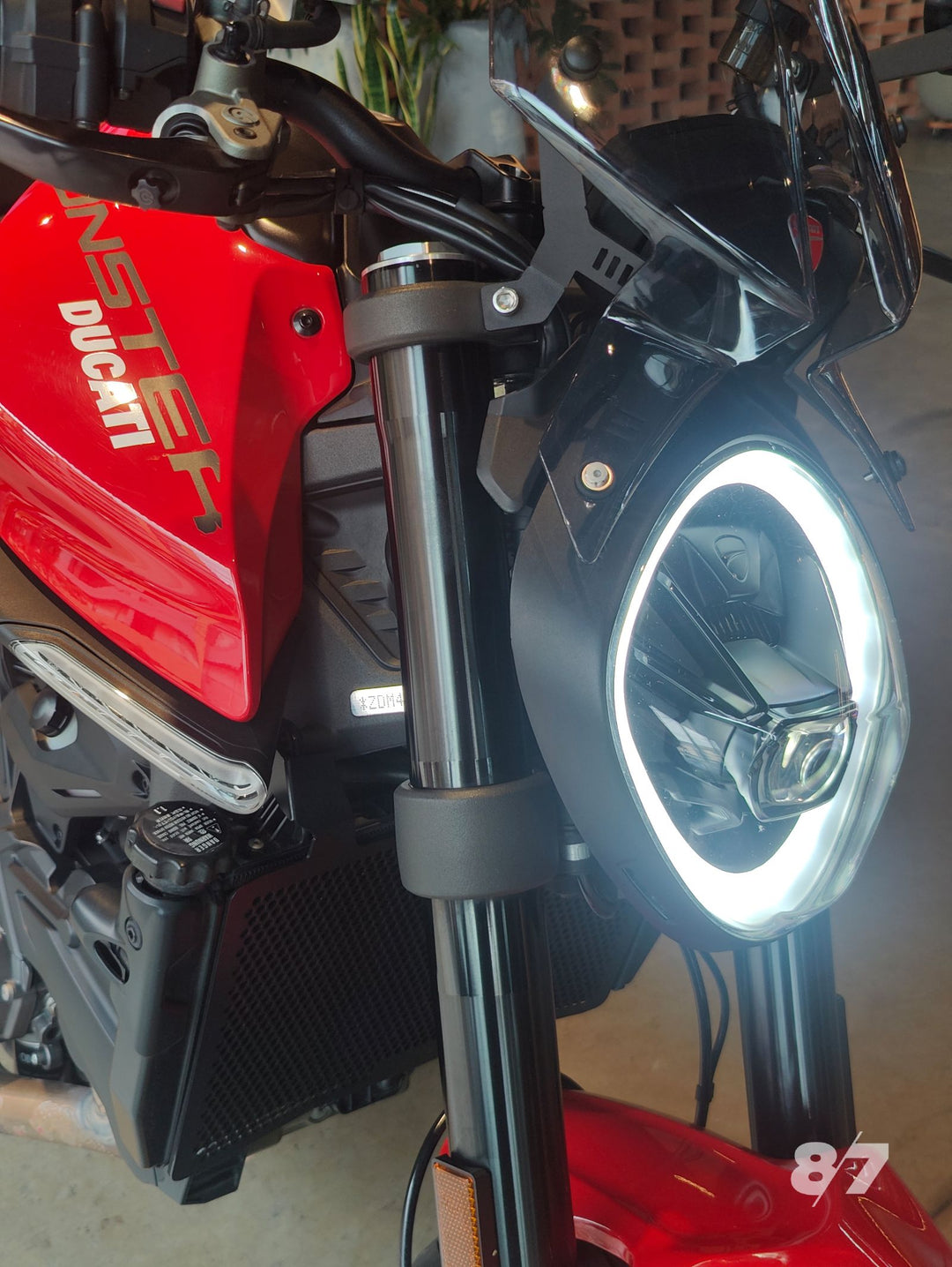DUCATI MONSTER